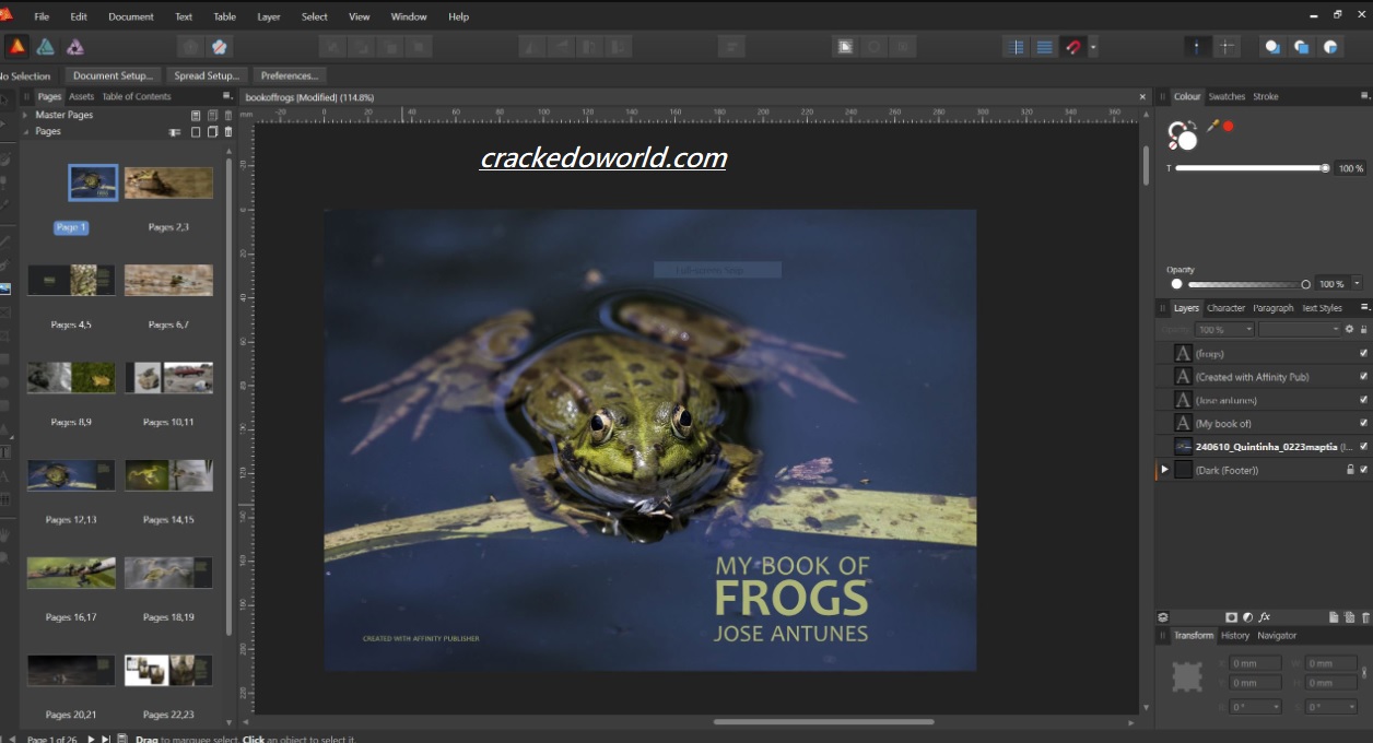 Serif Affinity Publisher Free Download8
