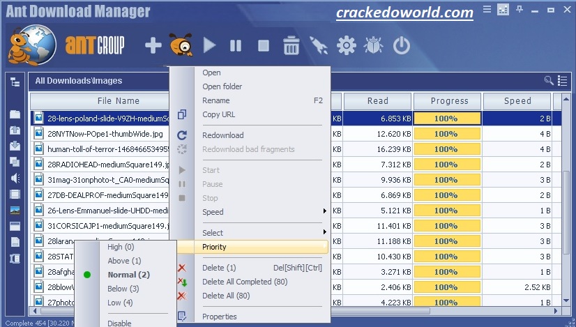 Ant Download Manager Pro Free Download